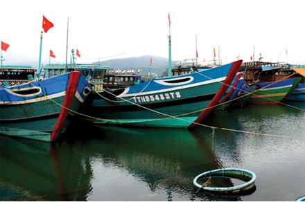 Làng chài tỷ phú