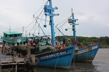 Tổ hợp tác đánh bắt hải sản xa bờ ở Kiên Giang: Điểm tựa cho ngư dân bám biển