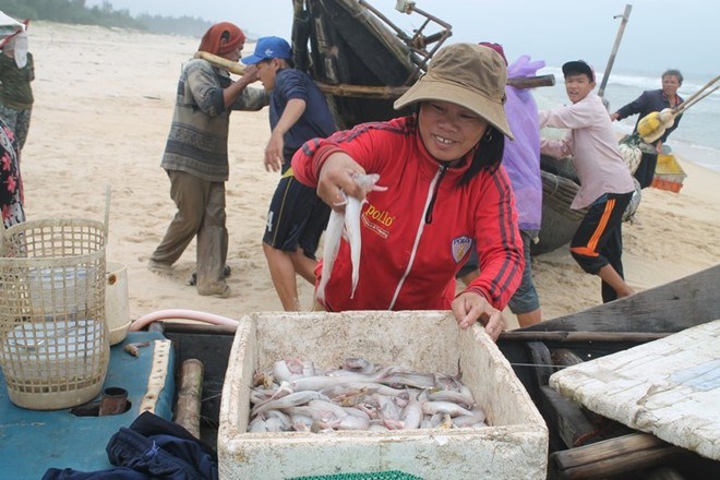 Quảng Trị: Dân có Tết nhờ cá khoai
